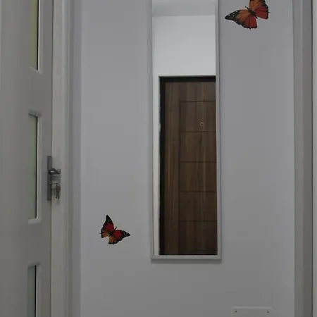 Apartment Olivia Navodari